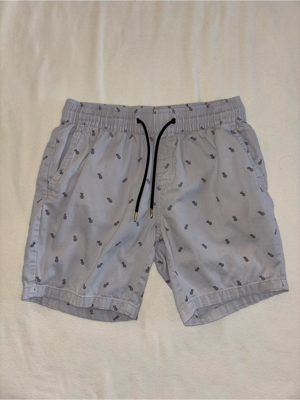 Beach Bros Gray Pineapple Print Drawstring Shorts Men’s Small